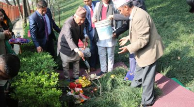 राष्ट्रपतिद्वारा वनकालीमा वृक्षरोपण