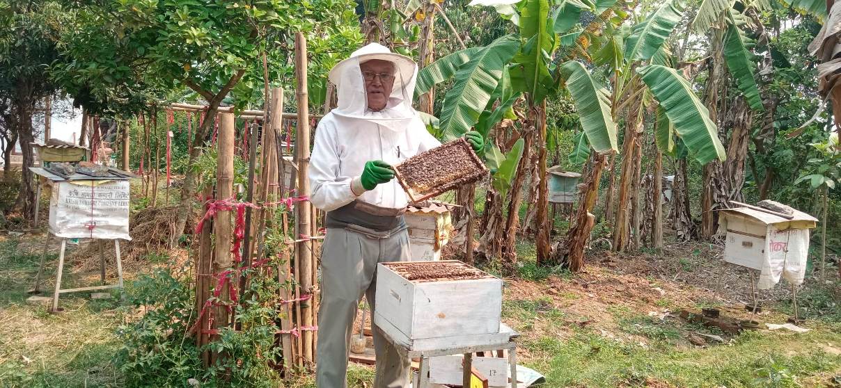 पाल्पामा मौरीपालन