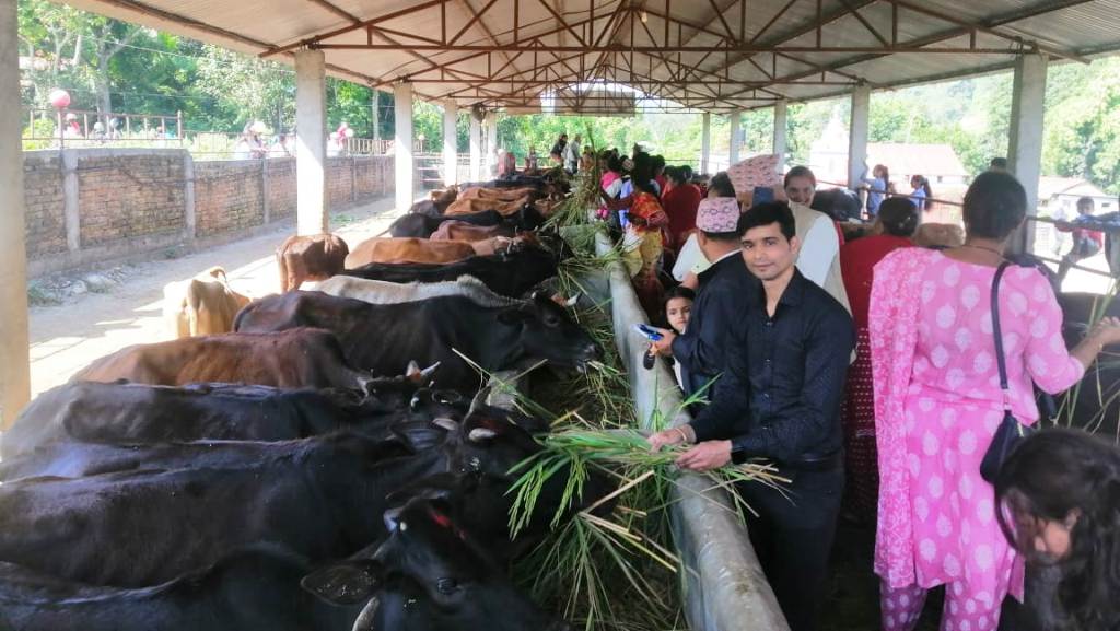 गाई संरक्षण