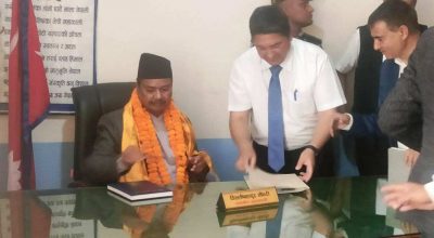 डिल्लीबहादुर चौधरी