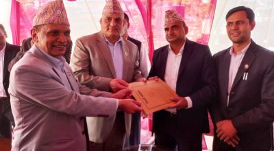 सुरेन्द्र पाण्डे