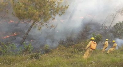 गुल्मी आगलागी