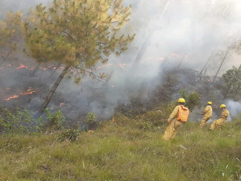 गुल्मी आगलागी