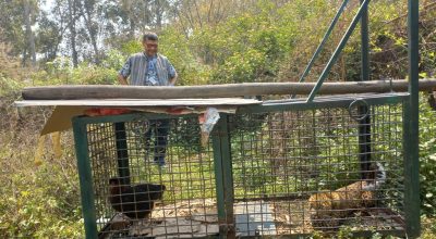 चितुवा पासोमा