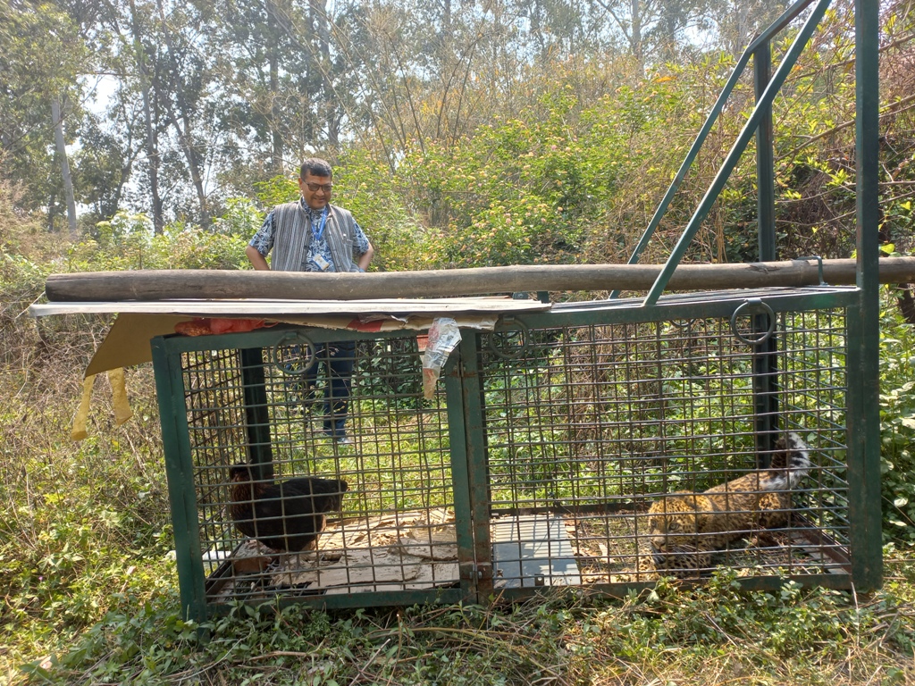 चितुवा पासोमा
