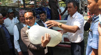 माछाका भुरा वितरण