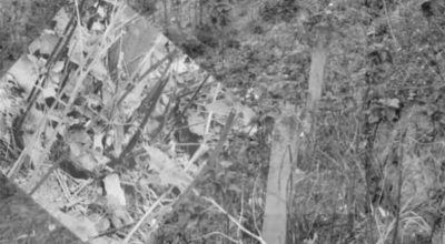 गिट्टीमा थुपारेको ठाउँमा मानिसको टाउको