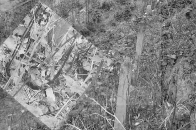 गिट्टीमा थुपारेको ठाउँमा मानिसको टाउको