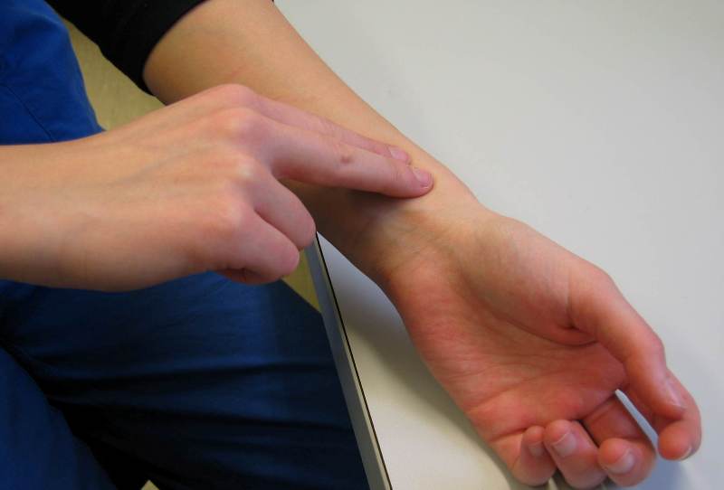 नाडी ज्ञान