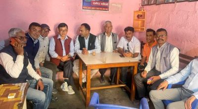 भोट माग्दै टोल–टोलमा