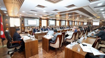 दिगो विकास लक्ष्य राष्ट्रिय निर्देशक समिति