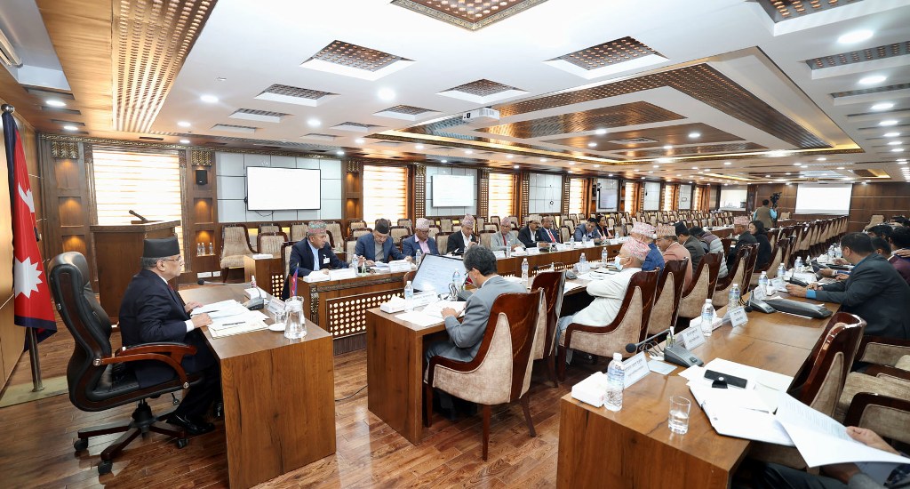 दिगो विकास लक्ष्य राष्ट्रिय निर्देशक समिति