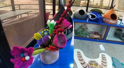 प्लाष्टिकका सामान