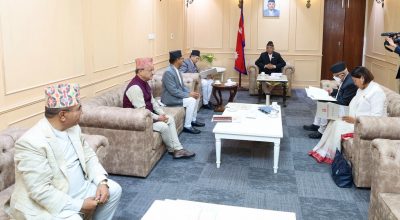 संवैधानिक परिषद्को बैठक