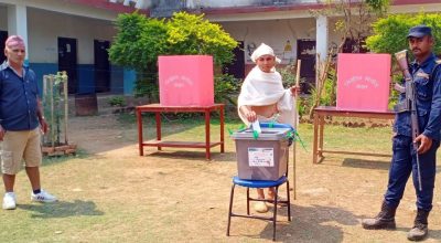 उपनिर्वाचन