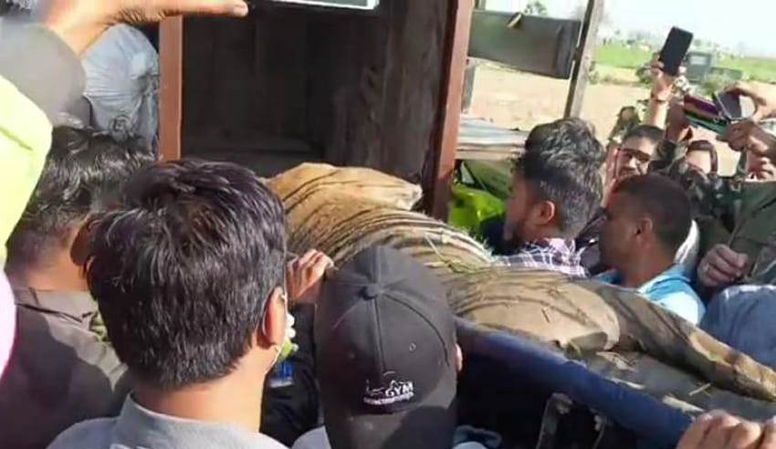 पाटेबाघलाई नियन्त्रणमा लिइयो