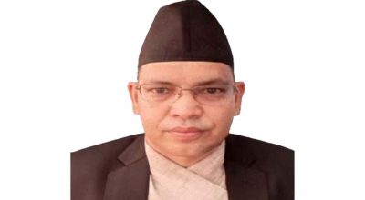 न्यायाधीश भुवन गिरी