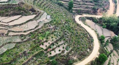 पाँचभाइको सुन्तला खेती