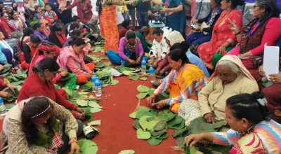 टपरी गाँस्ने प्रतिस्पर्धी