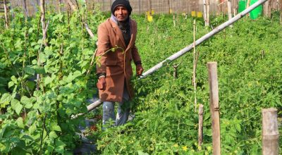 तरकारी काका-टीकाराम सापकोटा