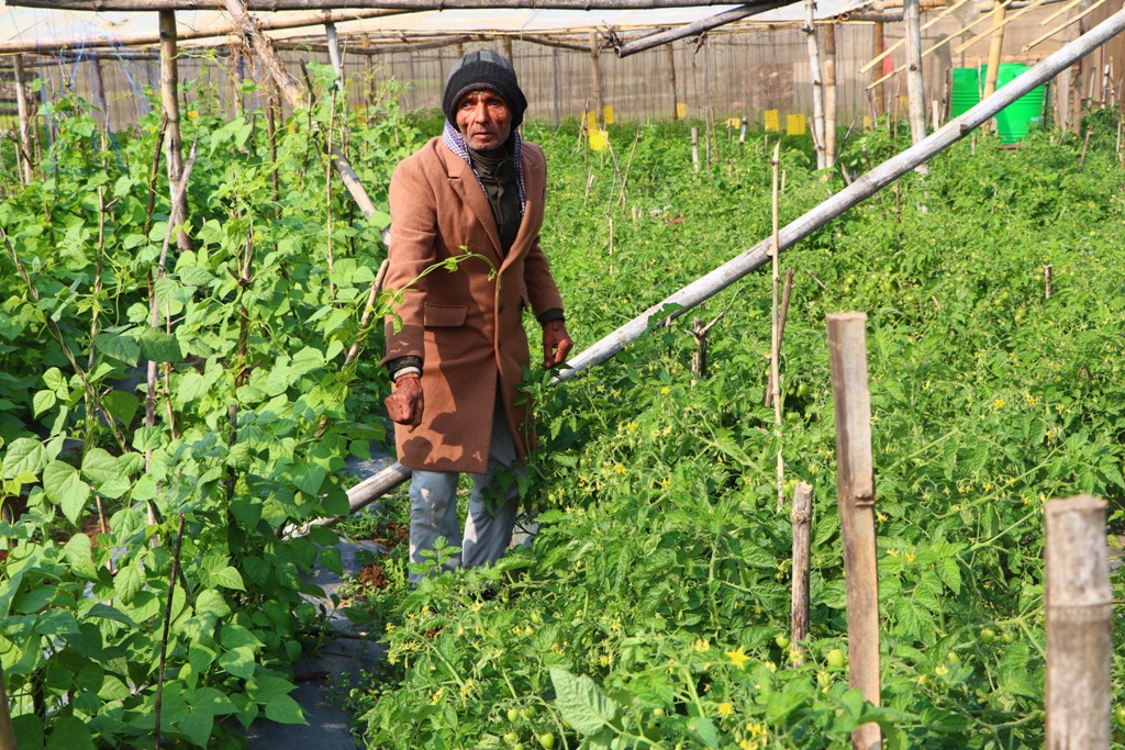 तरकारी काका-टीकाराम सापकोटा