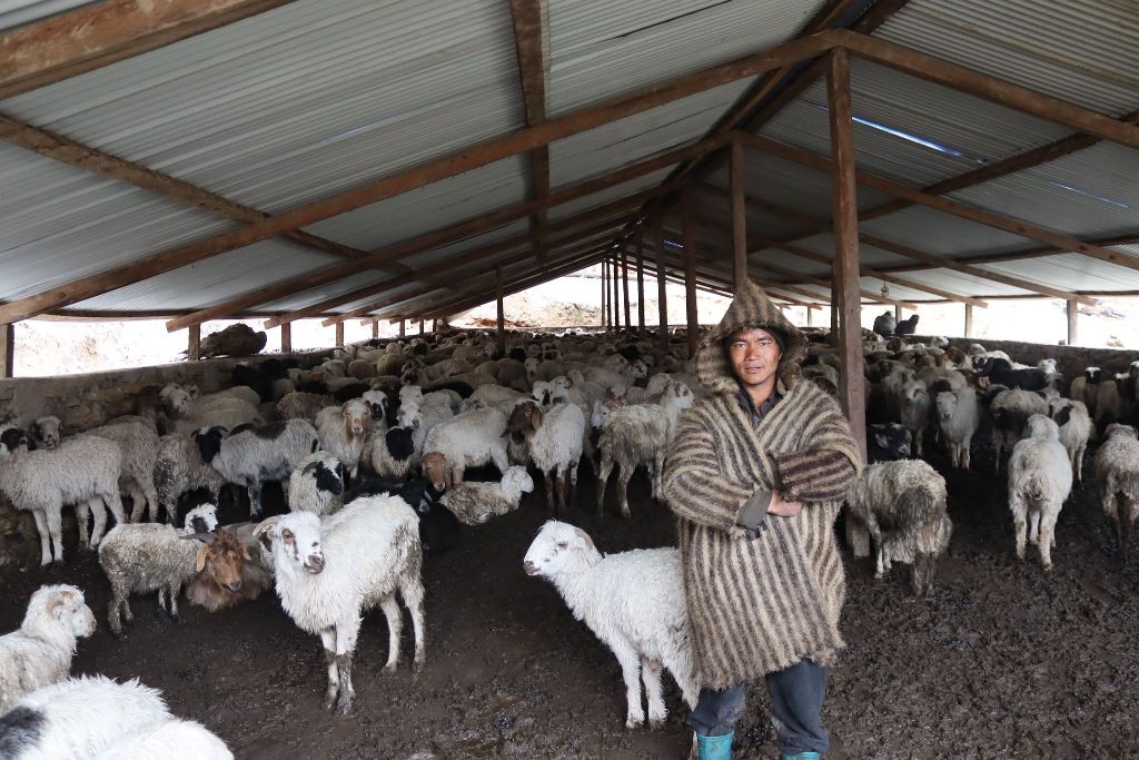 रसा गुरुङ भेडीगोठ