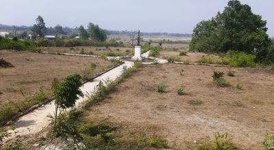 दाङको ‘सुकौरा’