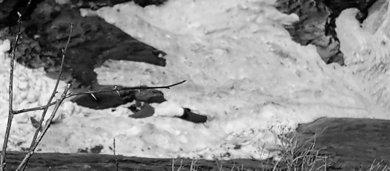 दार्चुला हिमपहिरो