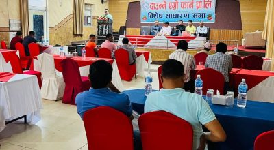 दाउन्ने एग्रो फार्म प्रालि