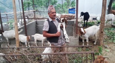 बाख्रापालन