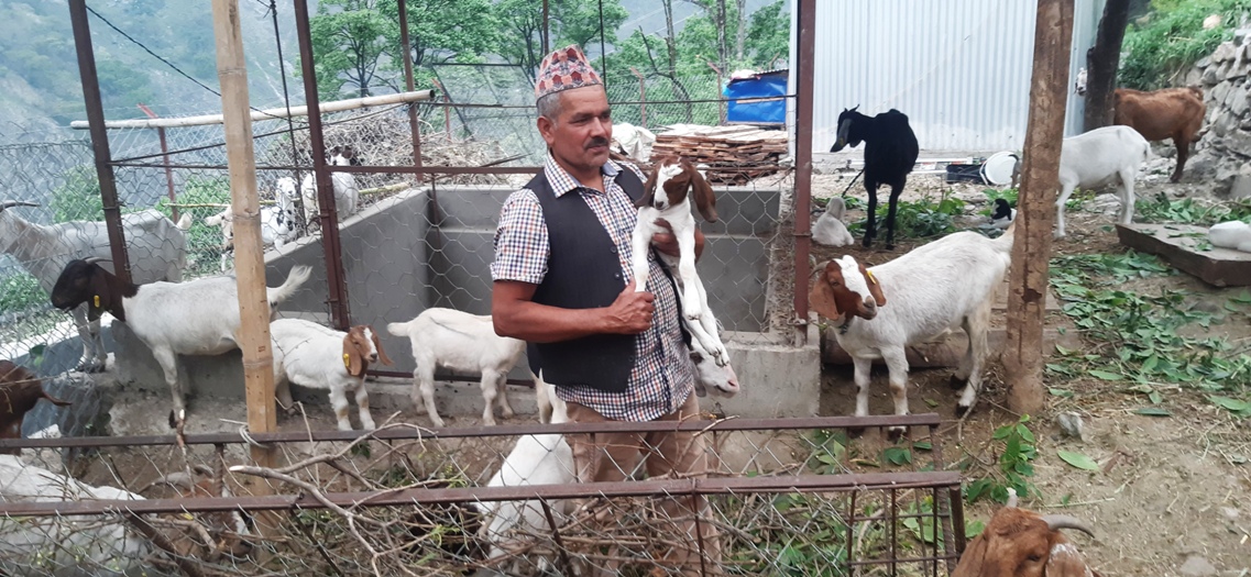 बाख्रापालन