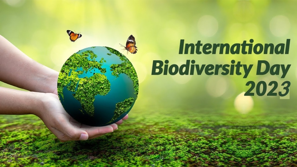 जैविक विविधता दिवस