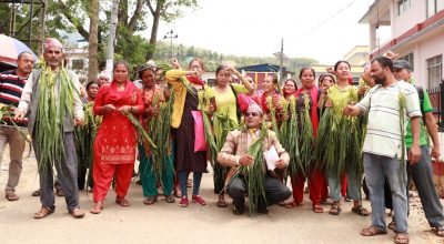बाँदर नियन्त्रणको माग