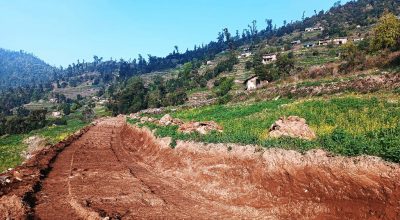 मुठाचौर