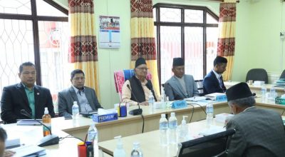 नारायणकाजी श्रेष्ठ राज्यव्यवस्था तथा सुशासन समिति