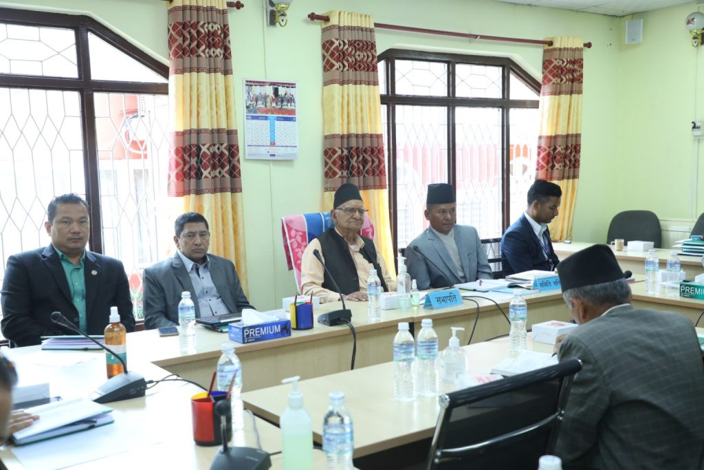 नारायणकाजी श्रेष्ठ राज्यव्यवस्था तथा सुशासन समिति