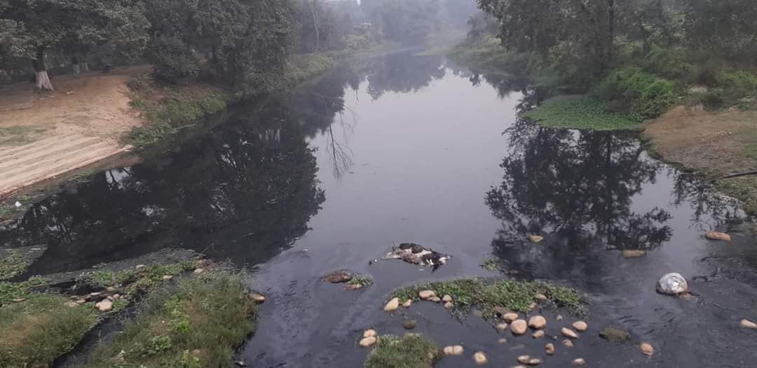 सिर्सिया नदी