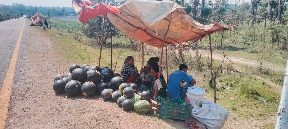 तरभुजा बिक्री