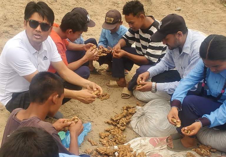 अदुवा खेतीमा विद्यार्थी