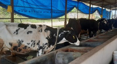 पशुपालन