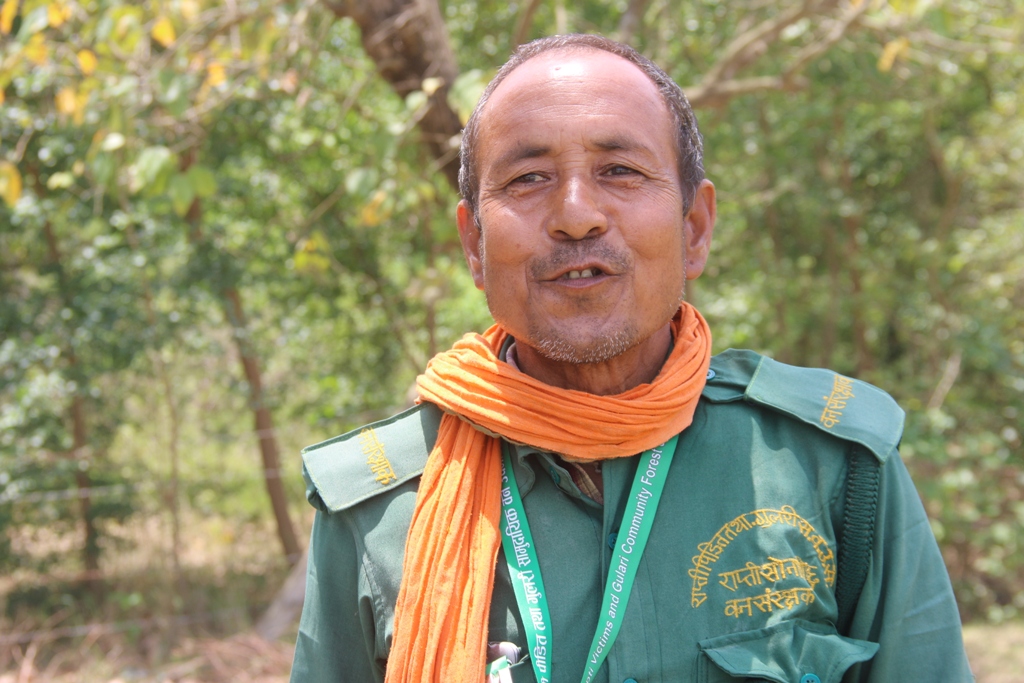 धनीराम थारू