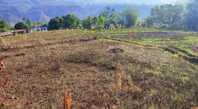 खेतीयोग्य जमिन बाँझिदै