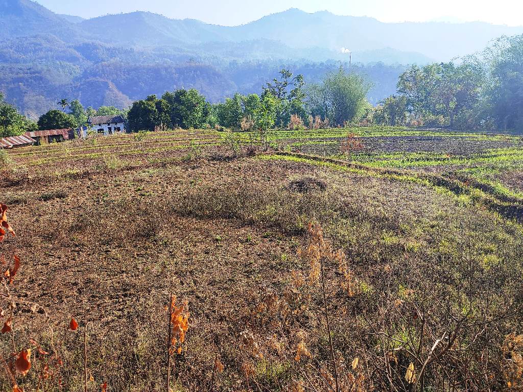खेतीयोग्य जमिन बाँझिदै