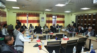 संसदीय सुनुवाइ विशेष समिति