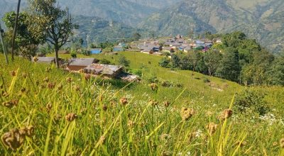बागलुङ नगरपालिका–८ सिगाना लामीचौरको दलित बस्ती