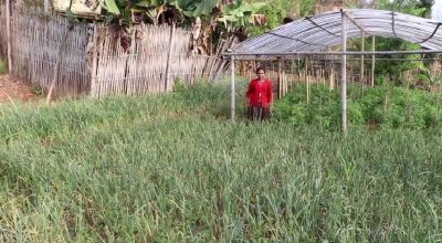 भोजपुरका किसान