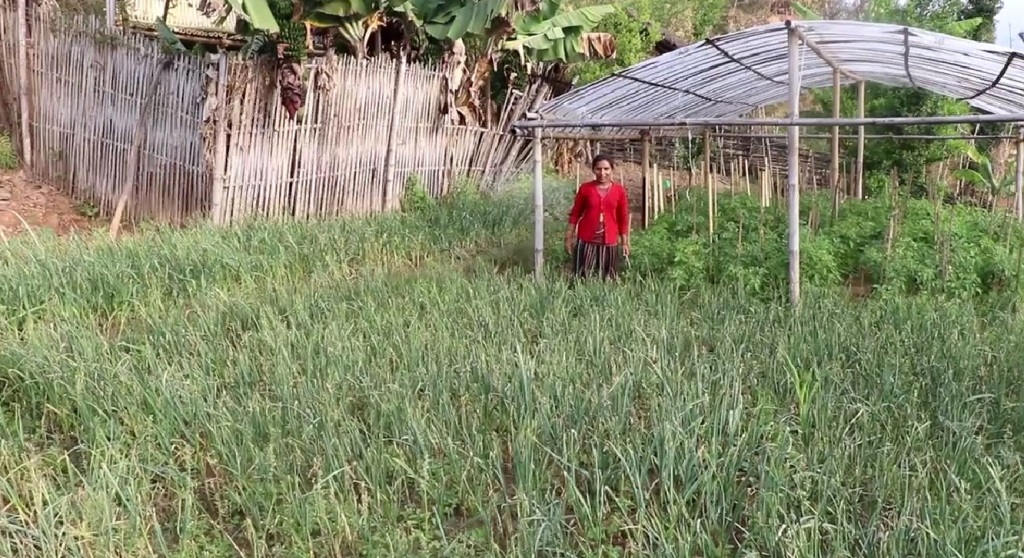 भोजपुरका किसान