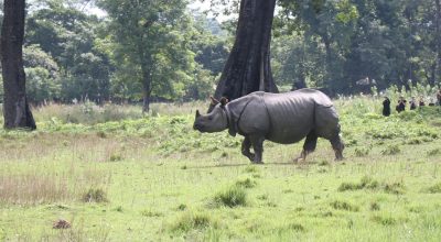 चितवन राष्ट्रिय निकुञ्ज