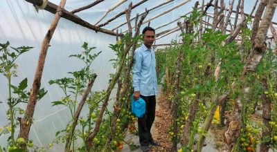 धनवीरसिंह साउँद