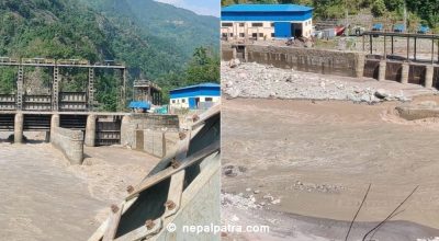 जलविद्युत